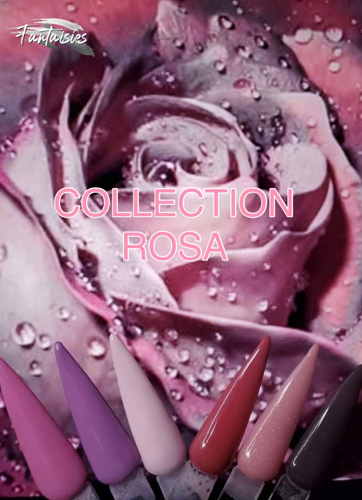 Collection Rosa